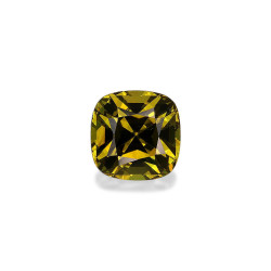 CUSHION-cut Grossular...