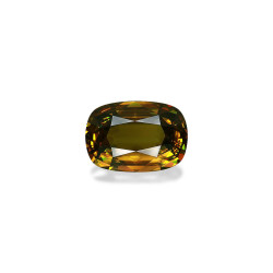 CUSHION-cut Sphene  16.52...