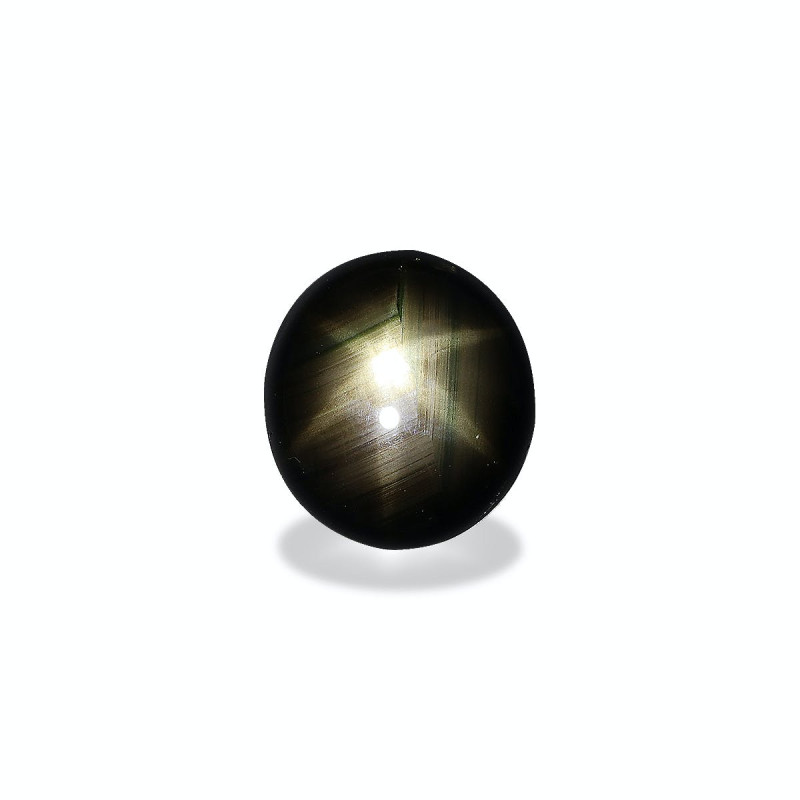 الياقوت النجمي الأسود الحجم بيضاوي أسود 21.87 