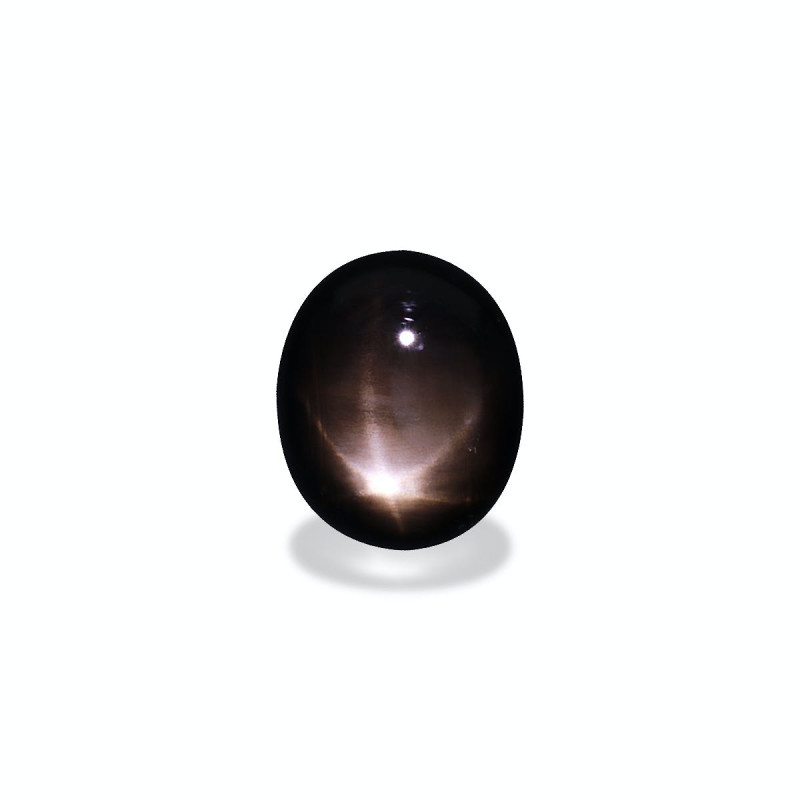 الياقوت النجمي الأسود الحجم بيضاوي أسود 17.2 