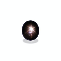 9cts Chanthaburi 2024 Black Star Sapphire Authentic Bang Kha Cha Teardrop Cabochon