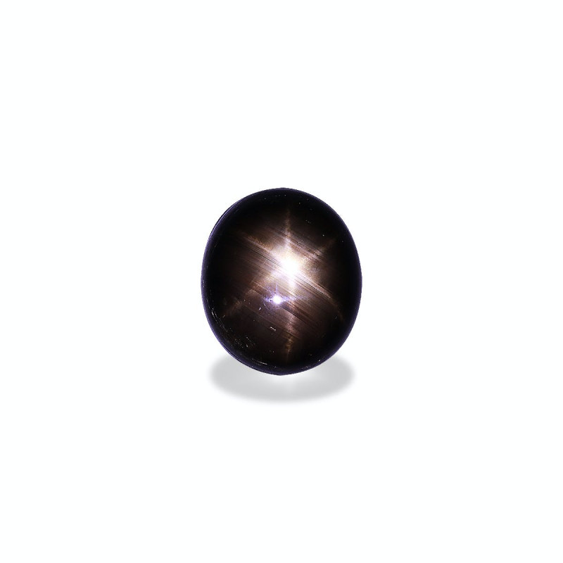 الياقوت النجمي الأسود الحجم بيضاوي أسود 26.11 